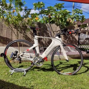 Specialized Shiv Expert Triathlon