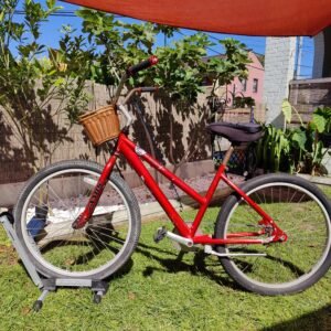Jamis Taxi Cruiser Bicycle