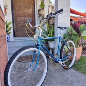 Vintage Bridgistone Mountain Bike
