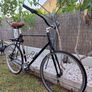Custom Trek Cruiser Bicycle 3 Speed