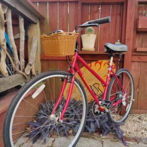 Vintage Specialized Crossroads Womans Bicycle