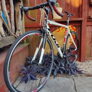 Fuji Carbon Fiber Road Bike