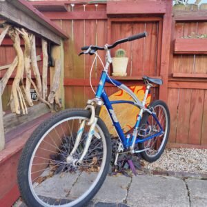 K2 Custom 7 Speed Cruiser