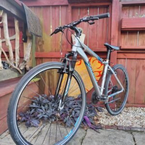 Schwinn Mountain Bike