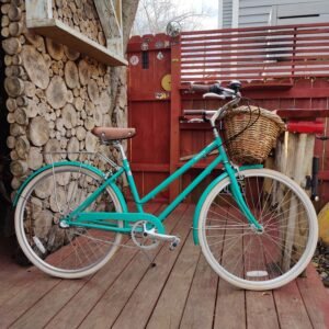 Brooklyn Bicycle Co Womans Bike