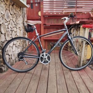 Bianchi Torino Hybrid