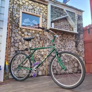 Vintage GT Terra Mountain Bike 26