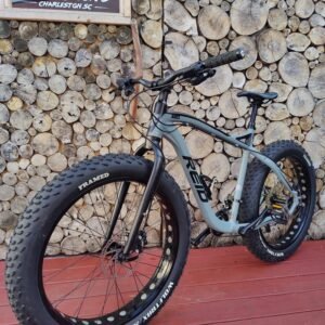 Reid Ares Fat Tire Bicycle