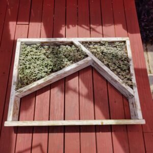 Hanging Succulent Planter