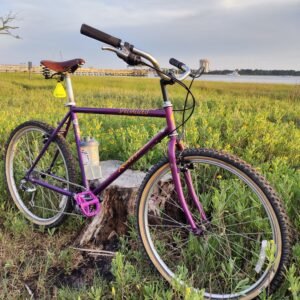 Specialized Rockhopper