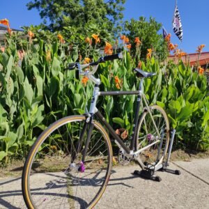 Vintage Trek Carbon Single Speed