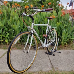 Raleigh USA Technium