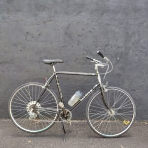 Raleigh Capri 58cm