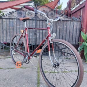 Vintage Nishiki 6 Speed