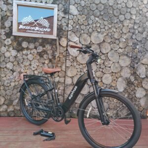 Euphree City Robin Electric Bicycle