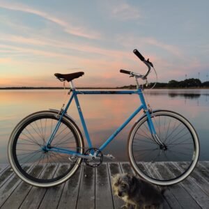Vintage Schwinn Single Speed XXL