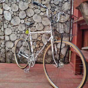 Vintage Peugeot Ten Speed